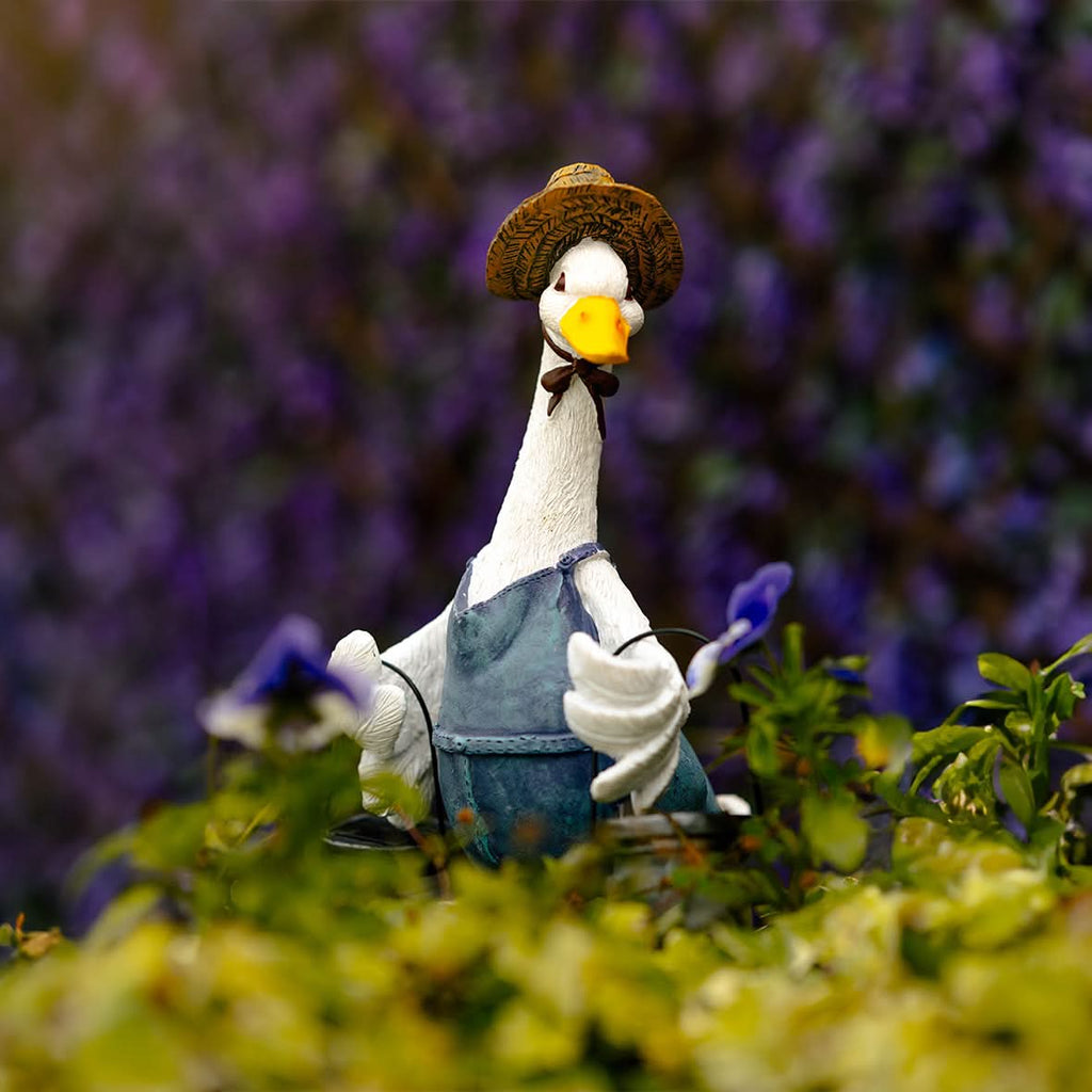 Canard de jardin solaire avec lanterne LED