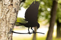 Décoration de jardin en métal silhouette oiseau envolé