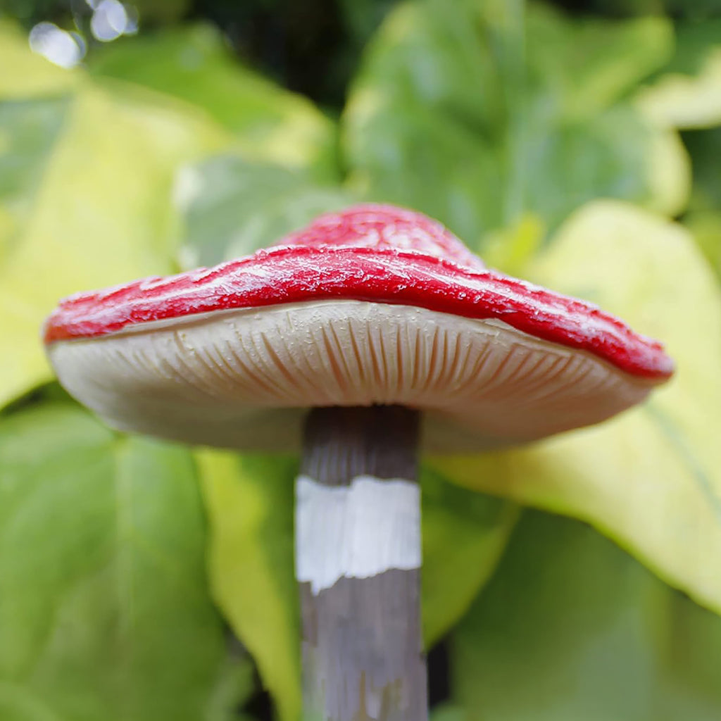 Lot de 4 ornements de jardin miniatures en forme de champignons