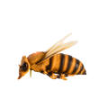 Statue d'abeille peinte à la main