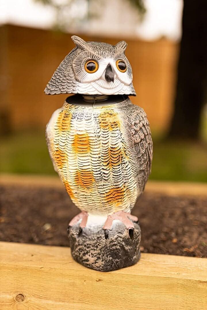 Répulsif réaliste pour oiseaux nuisibles de jardin avec tête de hibou pivotante