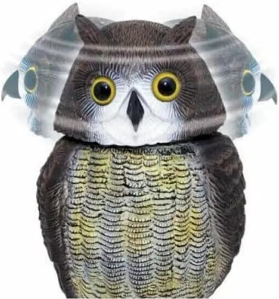 Répulsif réaliste pour oiseaux nuisibles de jardin avec tête de hibou pivotante