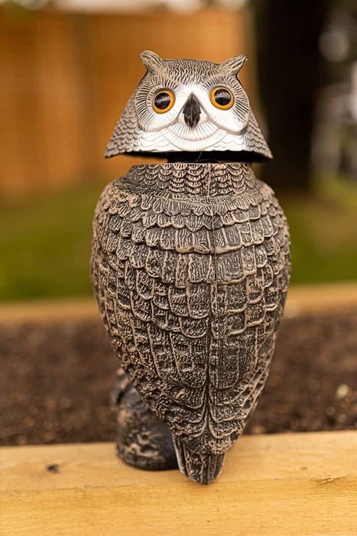 Répulsif réaliste pour oiseaux nuisibles de jardin avec tête de hibou pivotante