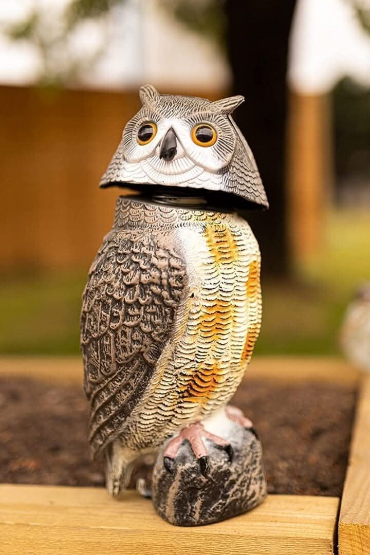 Répulsif réaliste pour oiseaux nuisibles de jardin avec tête de hibou pivotante